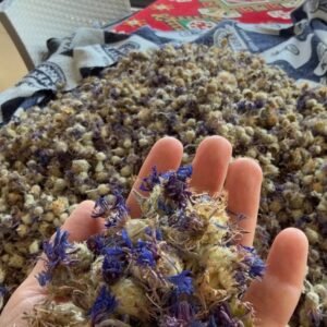 Peygamber çiçeği (mavi kantaron)
100 gr