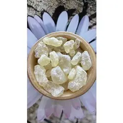 Sandaloz sakızı (200 gr)
