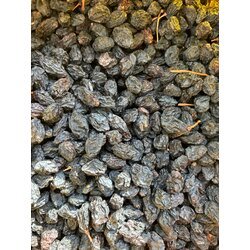 Çekirdekli kuru üzüm (500 gr)
