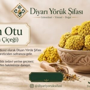Altın otu (koyun çiçeği)